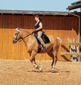 Reiterin auf ihrem Pferd reitet am Außenreitplatz